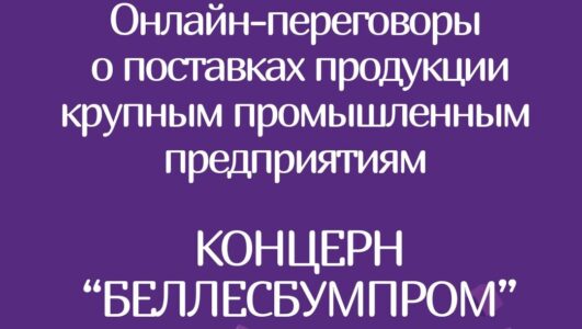 Онлайн переговоры с организациями концерна «Беллесбумпром»